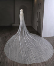 Load image into Gallery viewer, Pearl Long Luxury Wedding Veil